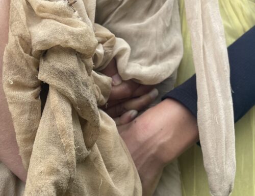 i came to explore the sun