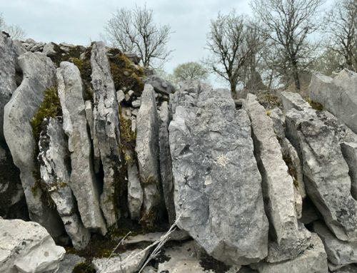 Dances for the Dordogne